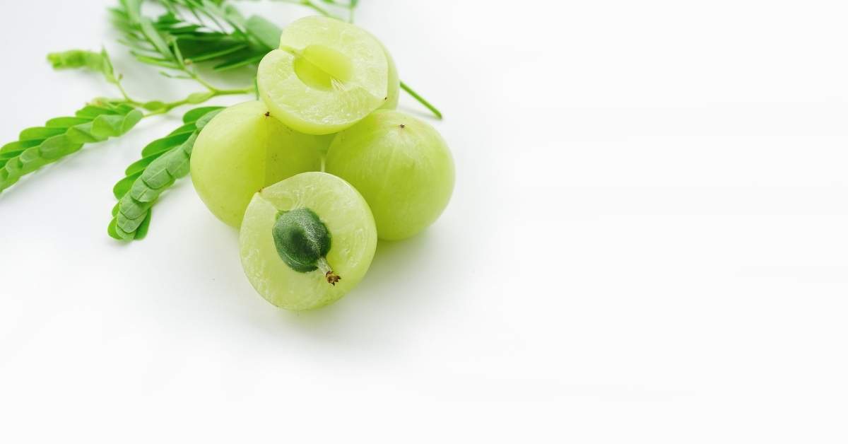 Increase Natural Stem Cell Production with a Healthy Diet